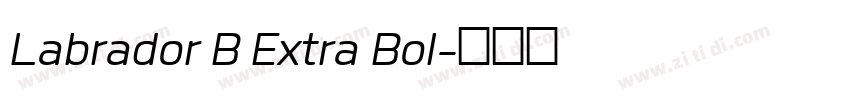 Labrador B Extra Bol字体转换
